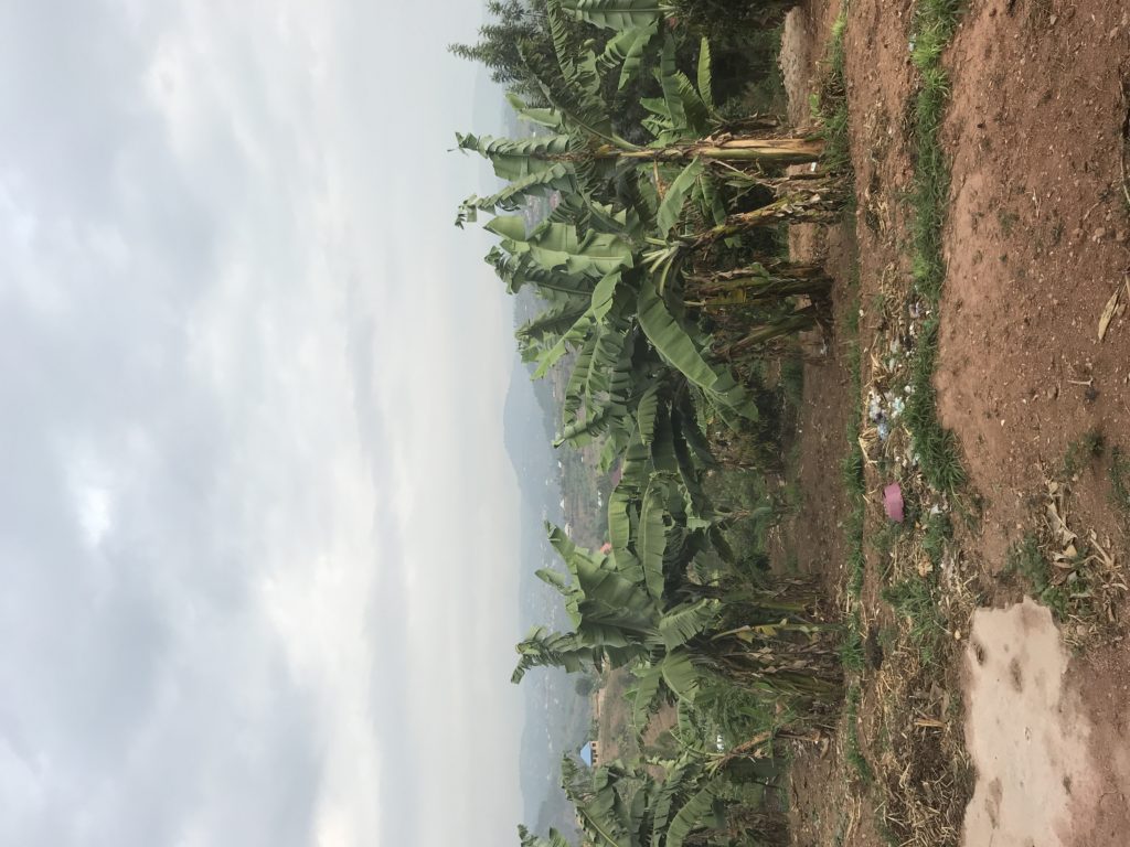 Ankunft in Cyeza – VEM-Freiwillige 2019-2020